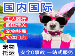 福州航空货运国际宠物托运 【国